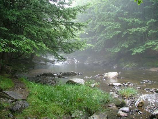 Jacob's Creek